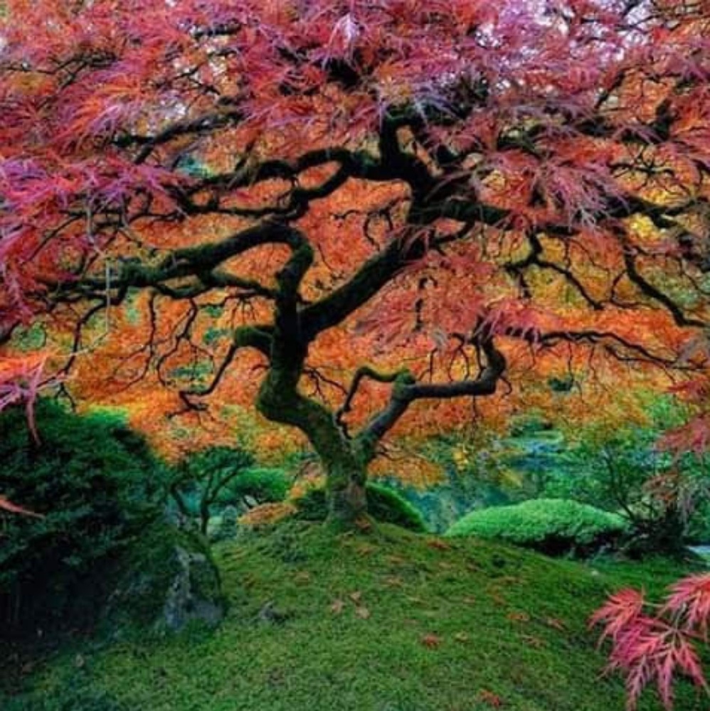 Meet your Posher, Gerri